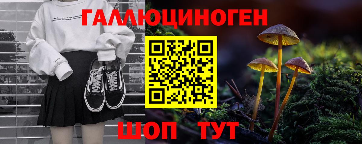 Псилоцибиновые грибы Cubensis Людиново